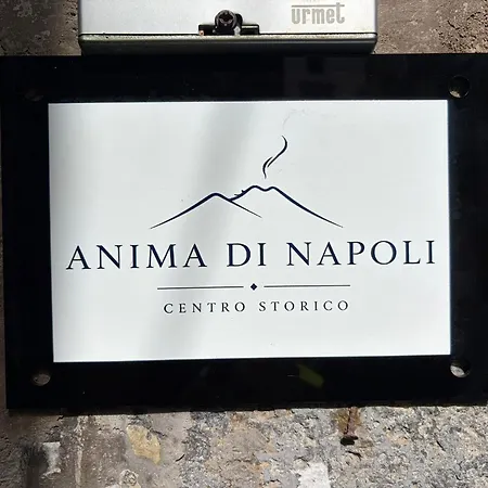 Gasthof Anima Di Centro Storico Neapel